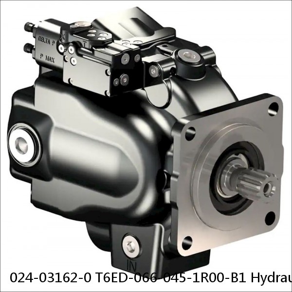024-03162-0 T6ED-066-045-1R00-B1 Hydraulic Double Vane Pumps T6ED Series