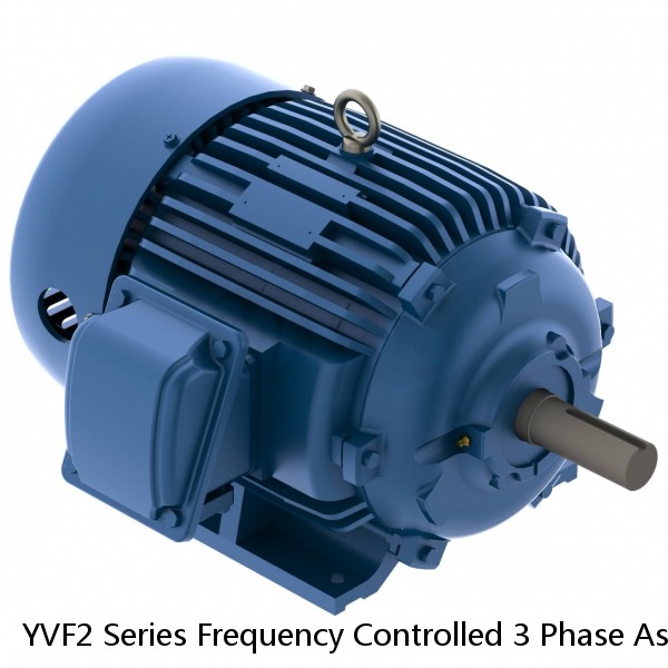 YVF2 Series Frequency Controlled 3 Phase Asynchronous Motor IP55 380V Rated #1 image