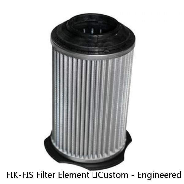 FIK-FIS Filter Element ​Custom - Engineered Donaldson Return Line Filter Usage #1 image