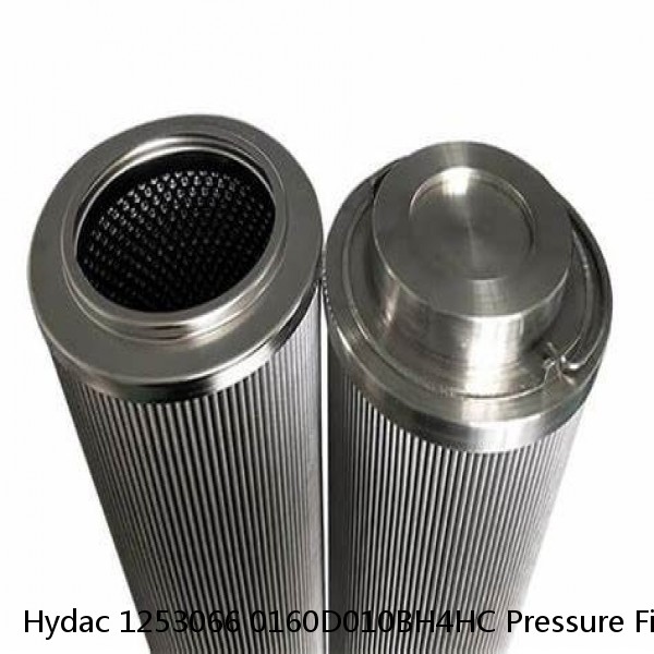 Hydac 1253066 0160D010BH4HC Pressure Filter Element #1 image