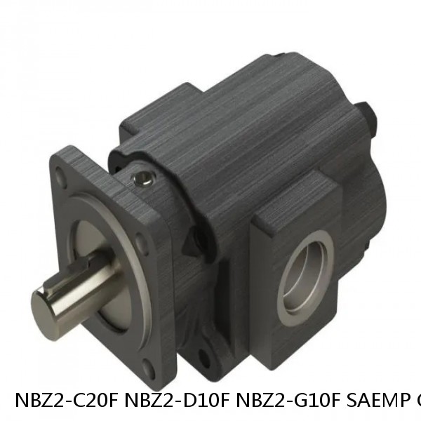 NBZ2-C20F NBZ2-D10F NBZ2-G10F SAEMP Gear Pump #1 image