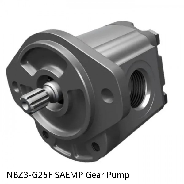 NBZ3-G25F SAEMP Gear Pump #1 image