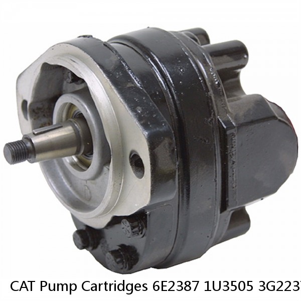 CAT Pump Cartridges 6E2387 1U3505 3G2237 3G2806 3G7663 7J0557 #1 image