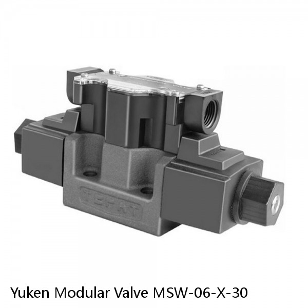 Yuken Modular Valve MSW-06-X-30 #1 image